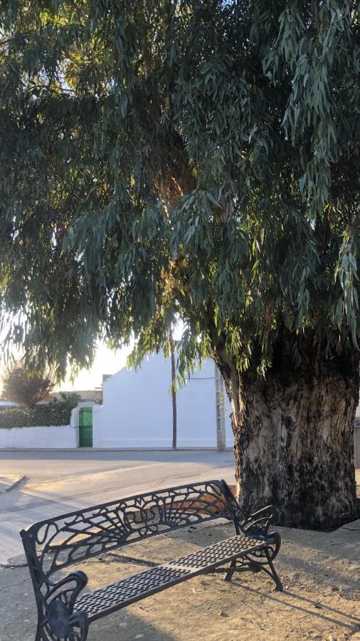 El Granado Villa Piedrabuena Kültér fotó