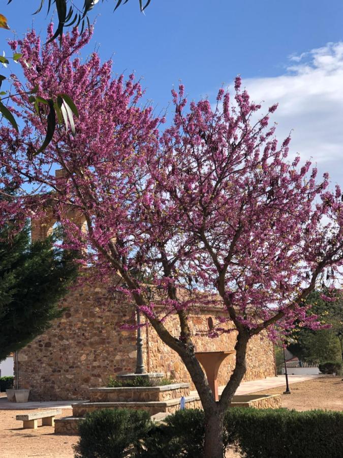 El Granado Villa Piedrabuena Kültér fotó
